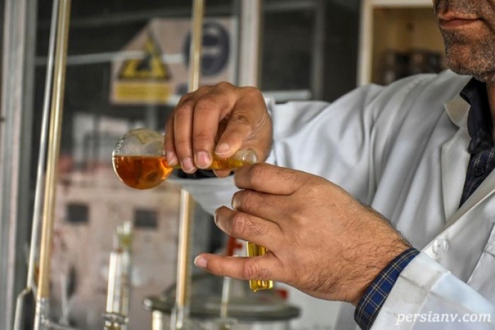 الکل صنعتی همچنان در ایران قربانی می‌گیرد