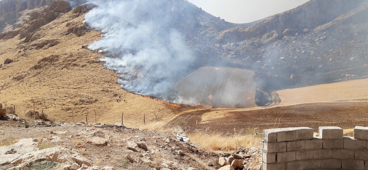 آتش سوزی بمو ازگله در شهرستان ثلاث باباجانی مهار شد