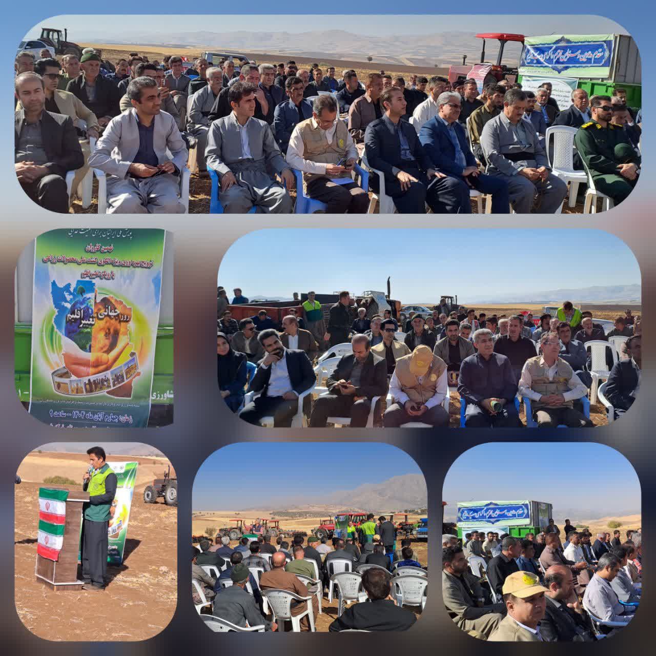 جوانرود پیشگام در ترویج کشاورزی نوین و سازگار با تغییر اقلیم