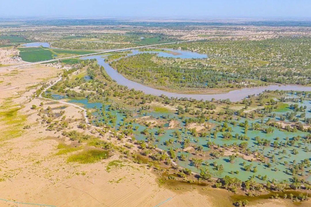 تبدیل بیابان به مخزن کربن در چین